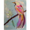 vyrp11 190tropic 2 web